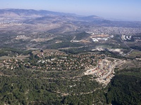 עצמון(8 תמונות)