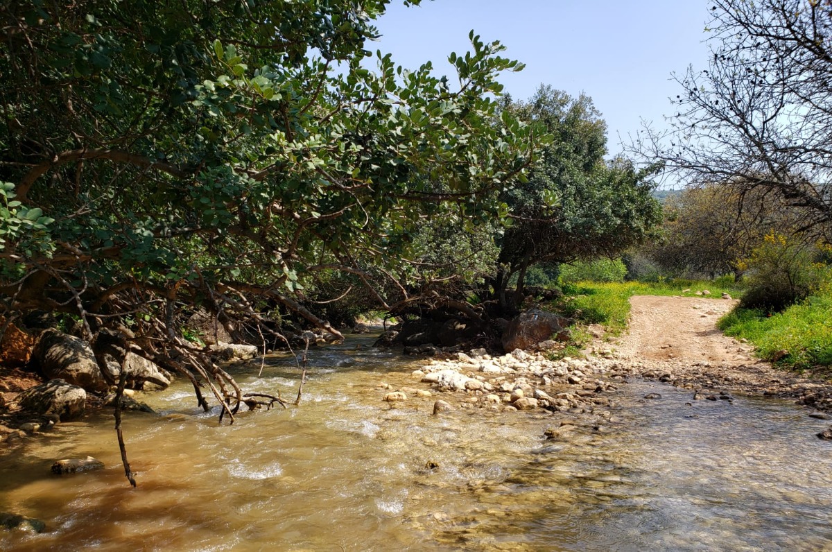 ‏תמונה מ-שמואל נוי(2)