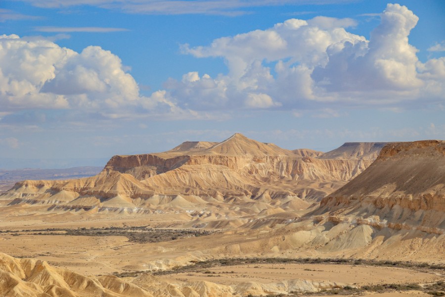 2022-11 טיול דמונה-2918