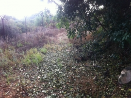 סקר שביל סובב עצמון 19-10-2013(20 תמונות)